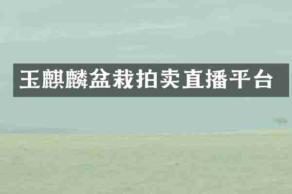 玉麒麟盆栽拍卖直播平台