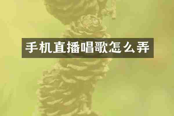 手机直播唱歌怎么弄