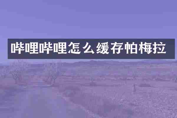 哔哩哔哩怎么缓存帕梅拉