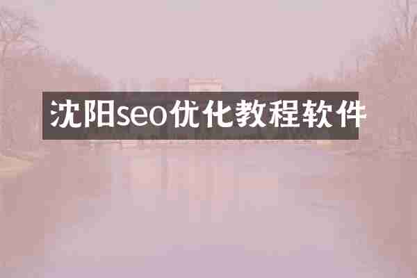 沈阳seo优化教程软件