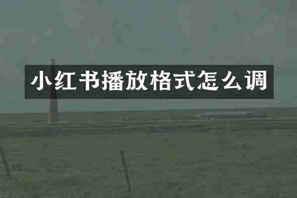 小红书播放格式怎么调