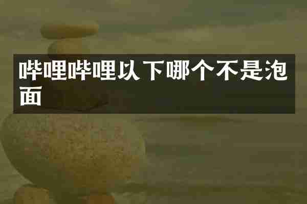 哔哩哔哩以下哪个不是泡面