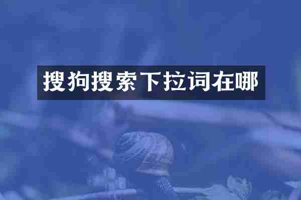搜狗搜索下拉词在哪