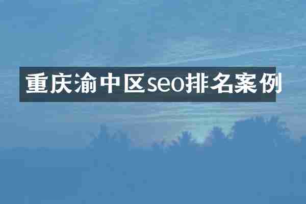重庆渝中区seo排名案例