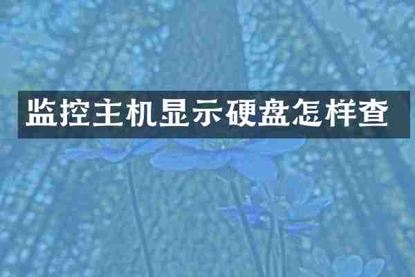 监控主机显示硬盘怎样查