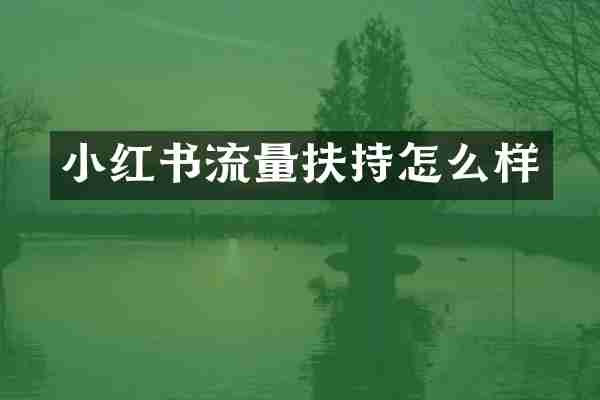 小红书流量扶持怎么样
