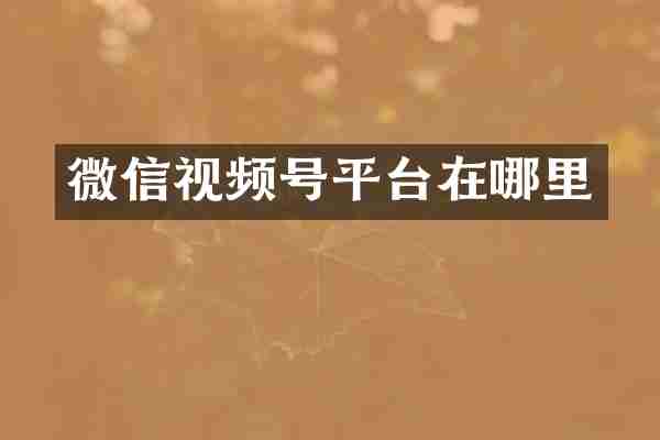 微信视频号平台在哪里