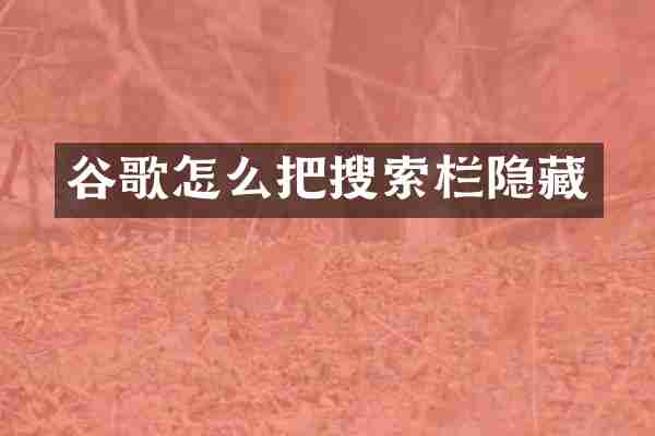 谷歌怎么把搜索栏隐藏