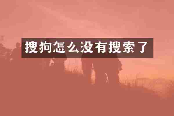 搜狗怎么没有搜索了