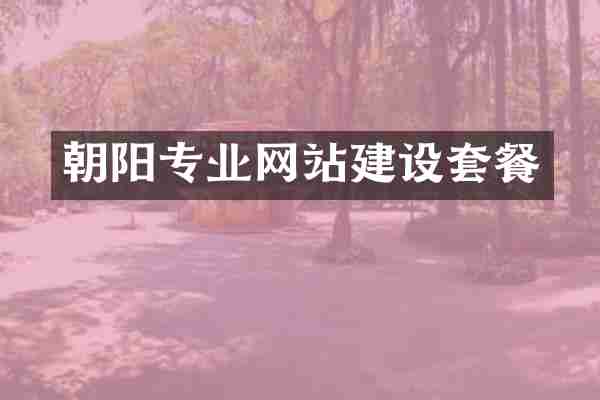 朝阳专业网站建设套餐