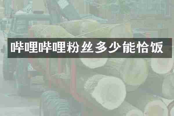 哔哩哔哩粉丝多少能恰饭