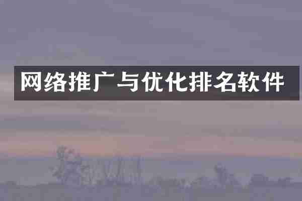 网络推广与优化排名软件