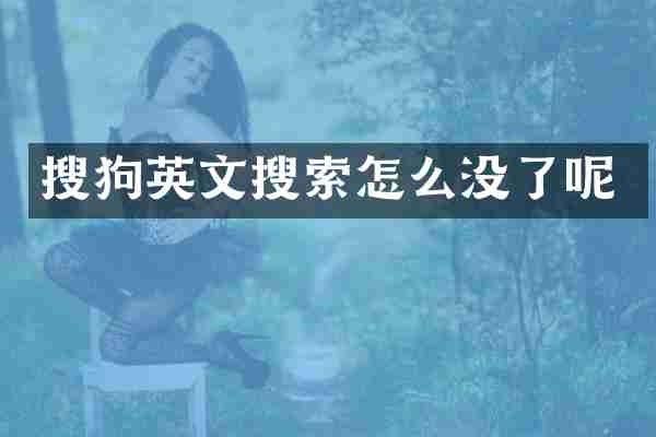 搜狗英文搜索怎么没了呢
