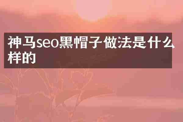 神马seo黑帽子做法是什么样的