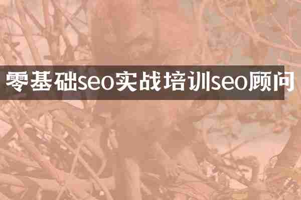 零基础seo实战培训seo顾问