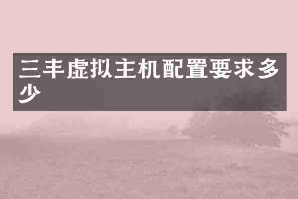 三丰虚拟主机配置要求多少
