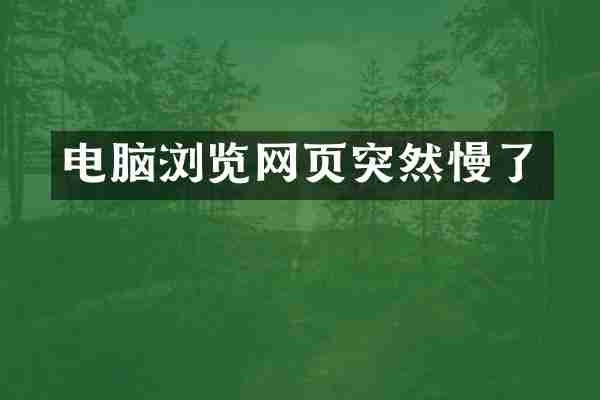 电脑浏览网页突然慢了