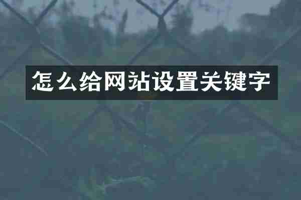 怎么给网站设置关键字