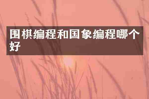 围棋编程和国象编程哪个好