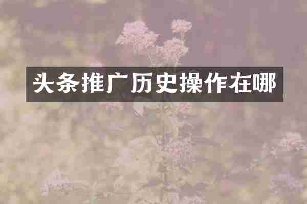 头条推广历史操作在哪