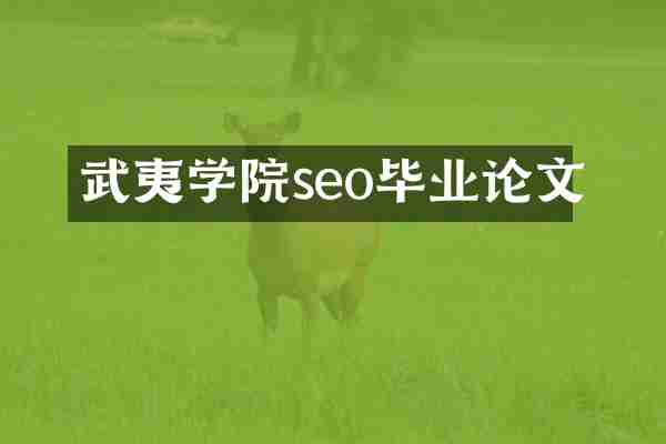 武夷学院seo毕业论文