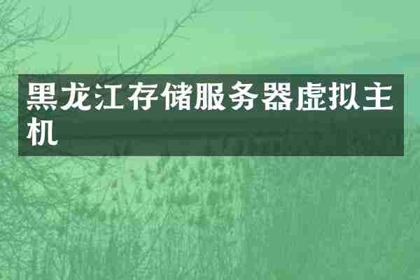 黑龙江存储服务器虚拟主机