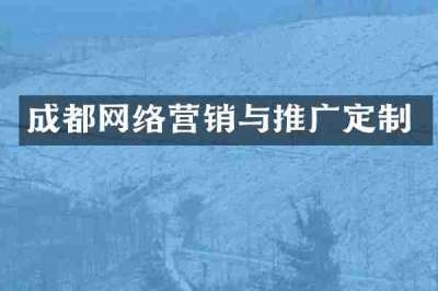 成都网络营销与推广定制