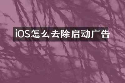 iOS怎么去除启动广告