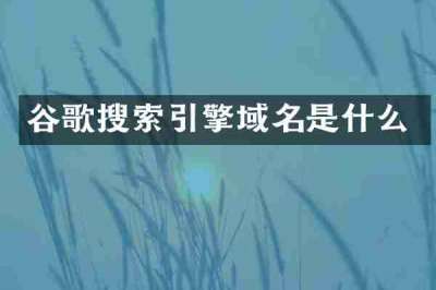 谷歌搜索引擎域名是什么