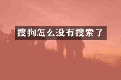 搜狗怎么没有搜索了