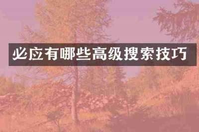 必应有哪些高级搜索技巧