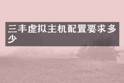 三丰虚拟主机配置要求多少