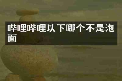 哔哩哔哩以下哪个不是泡面