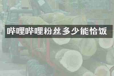 哔哩哔哩粉丝多少能恰饭