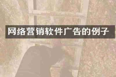 网络营销软件广告的例子