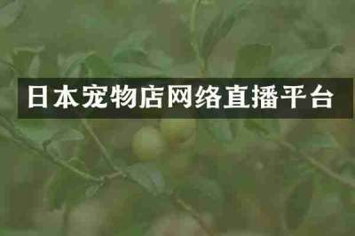 日本宠物店网络直播平台
