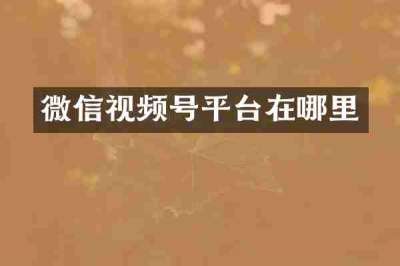 微信视频号平台在哪里