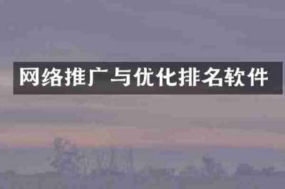 网络推广与优化排名软件