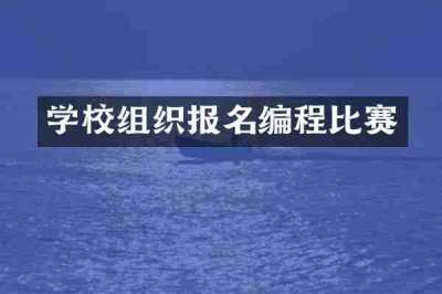 学校组织报名编程比赛