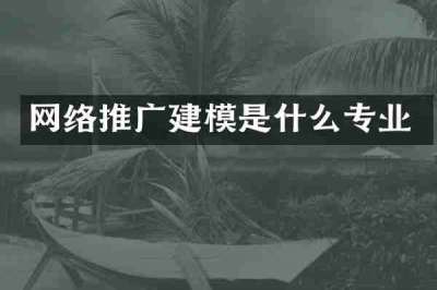 网络推广建模是什么专业