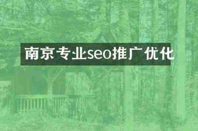 南京专业seo推广优化
