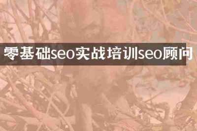 零基础seo实战培训seo顾问