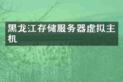 黑龙江存储服务器虚拟主机