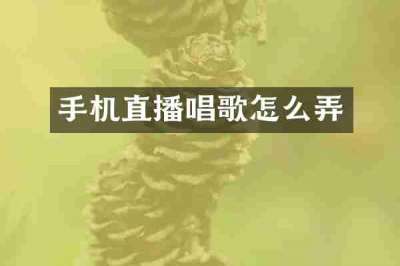 手机直播唱歌怎么弄