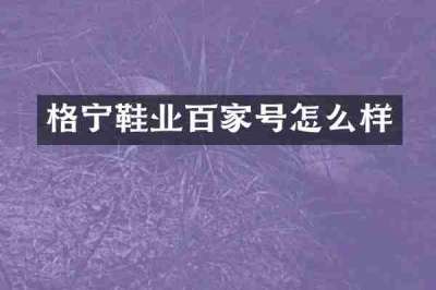 格宁鞋业百家号怎么样