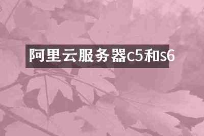阿里云服务器c5和s6