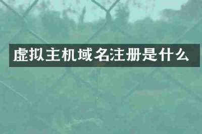虚拟主机域名注册是什么
