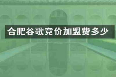 合肥谷歌竞价加盟费多少