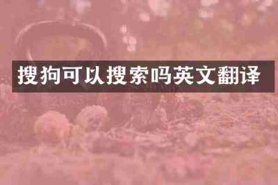 搜狗可以搜索吗英文翻译