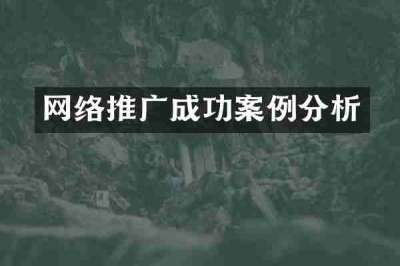 网络推广成功案例分析